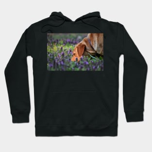 Ahh The Smell Of Flowers Hoodie